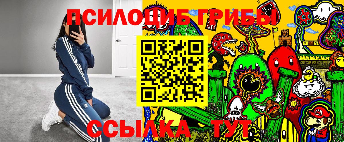 Галлюциногенные грибы прущие грибы  Псилоцибиновые грибы Psilocybe  Вход с VPN  Рубцовск 