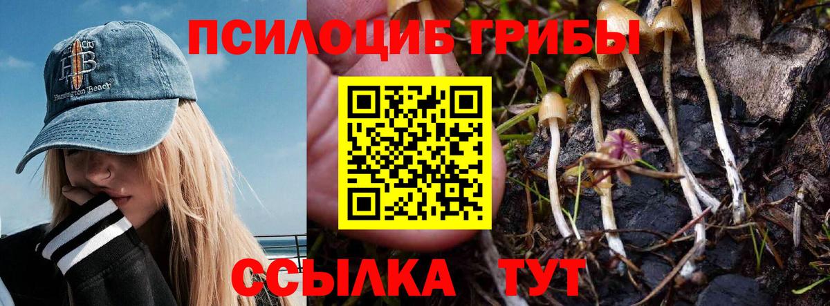 Псилоцибиновые грибы GOLDEN TEACHER Рубцовск
